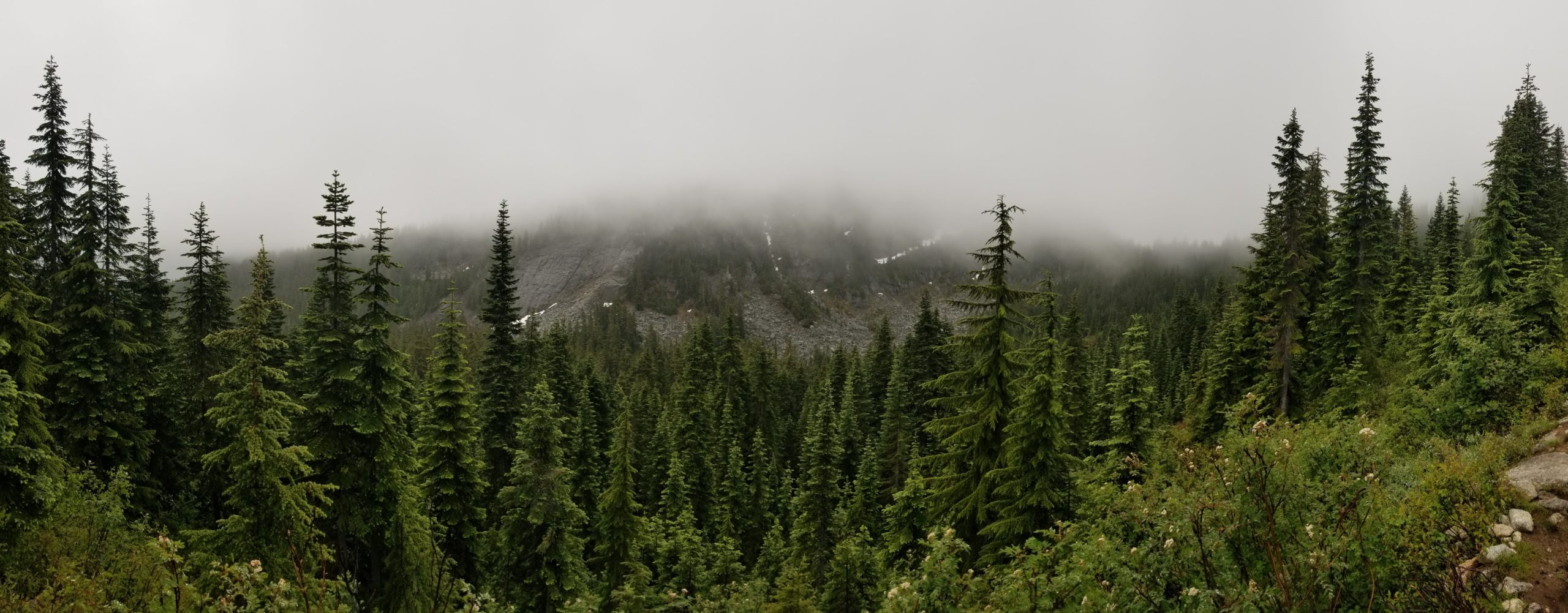 Read more about the article PCT Washington – Steven’s Pass to Lake Janus