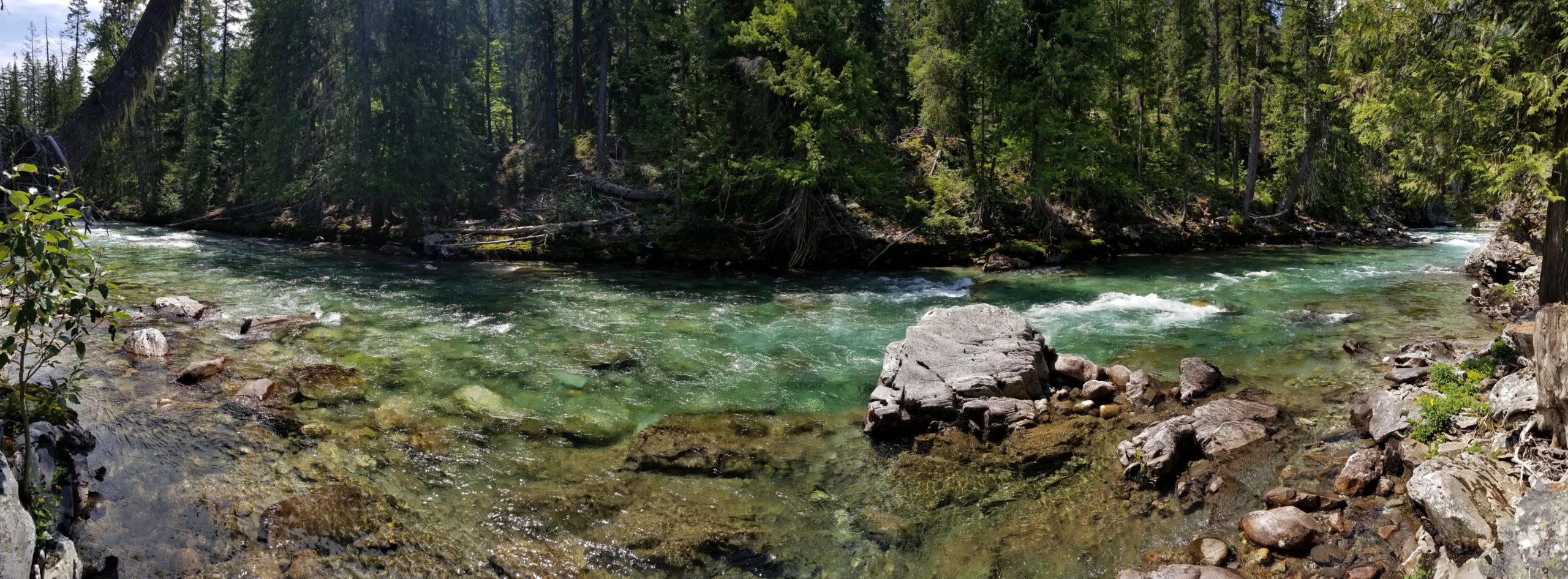 You are currently viewing PCT Washington – Agnes Creek to Stehekin