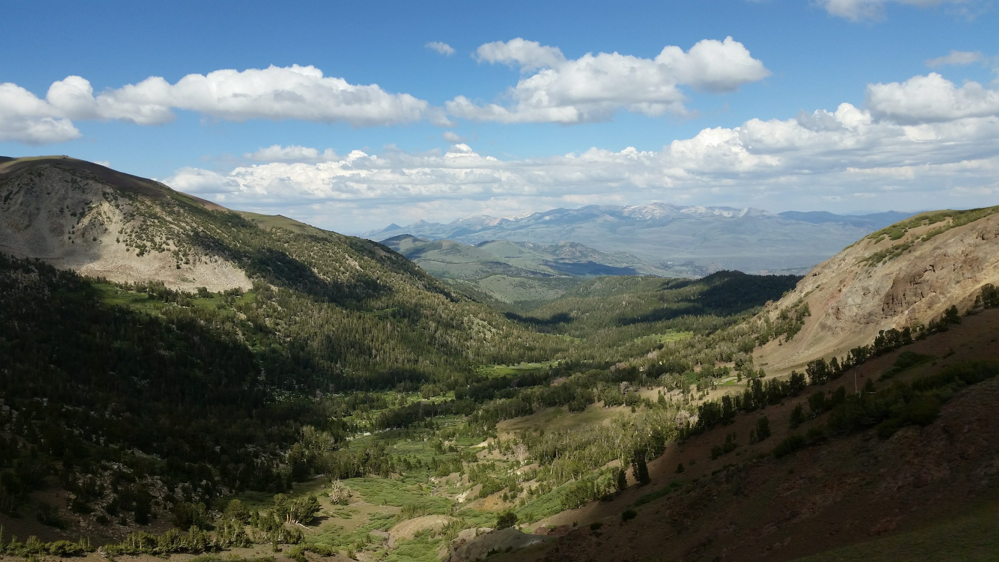 PCT California - Sonora Pass - The Metaforest