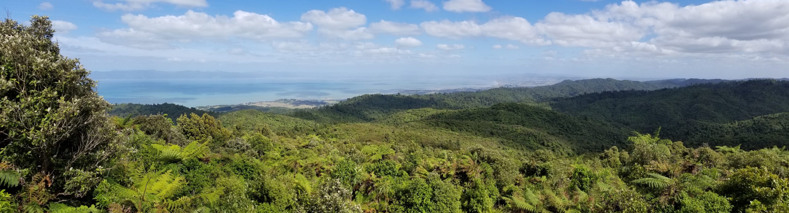 Read more about the article Hunua Ranges Regional Park