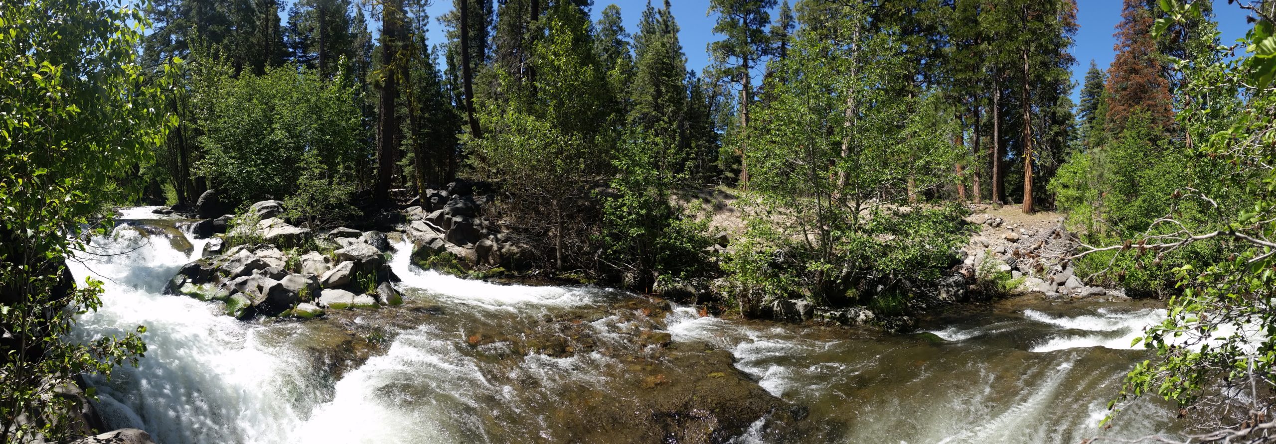 You are currently viewing PCT California – Lassen National Park to Old Station