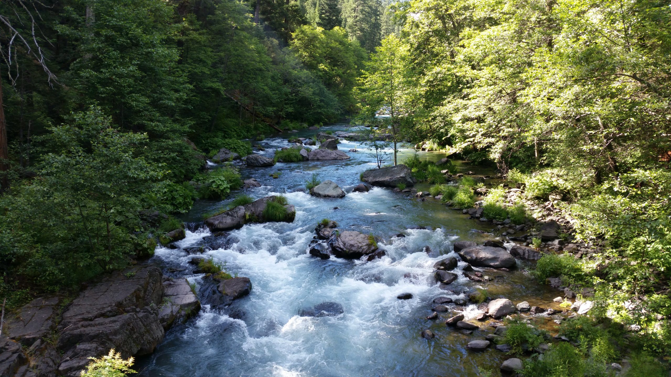 Read more about the article PCT California – Burney Falls to McCloud River (continued)