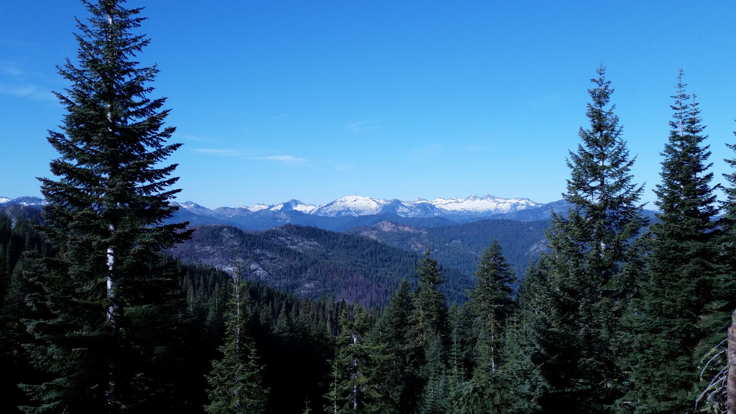 Read more about the article PCT California – Highway 3 to Carter Summit Trailhead