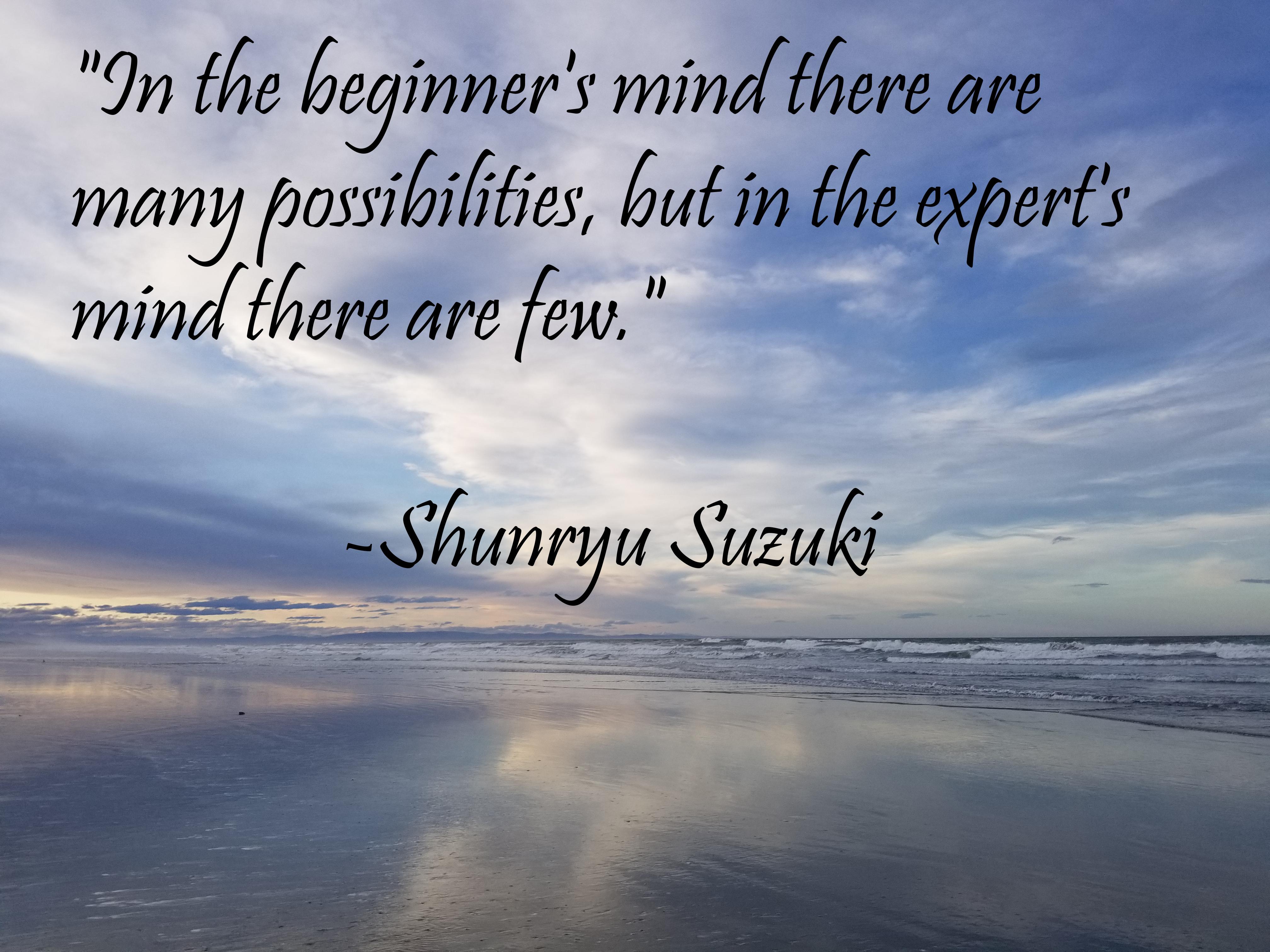 You are currently viewing A beginner’s mind’s understanding of “beginner’s mind”