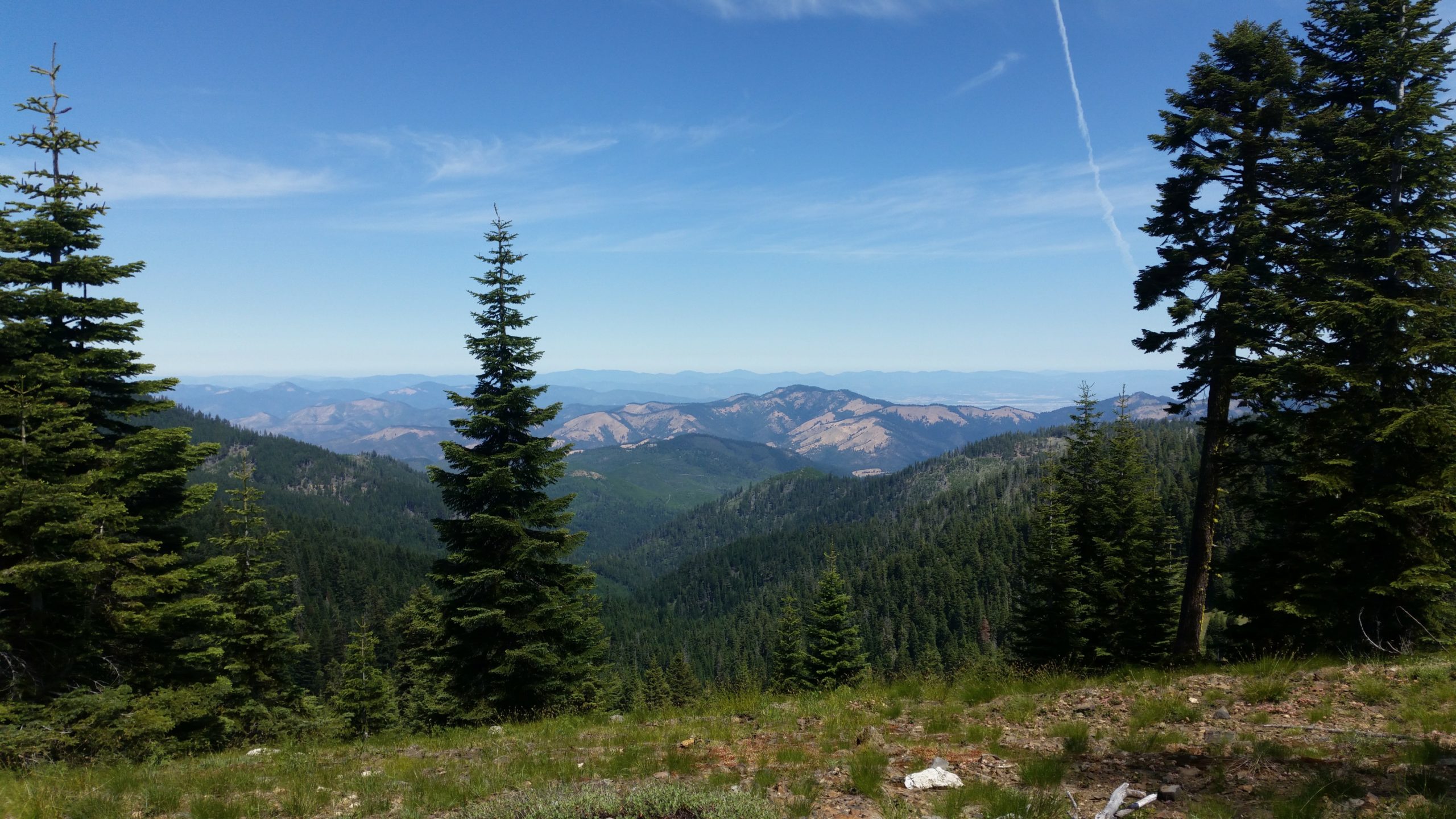 Read more about the article PCT Oregon – Oregon-California Border to Ashland