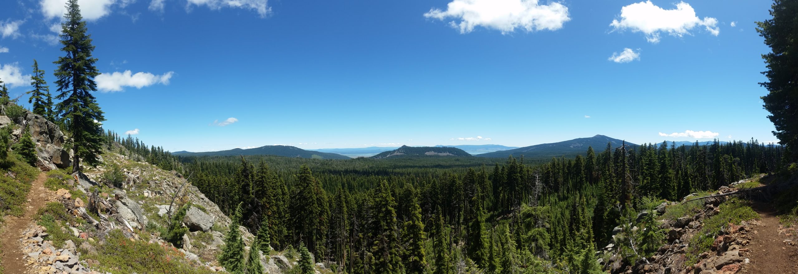 Read more about the article PCT Oregon – Red Lake to Mazama Village